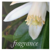 Keramikfliese "Fragrance" - DesignDElia タイル (正面)