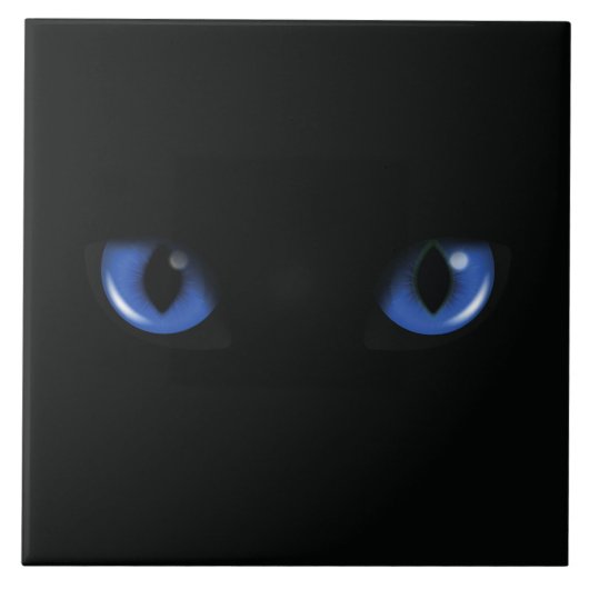 Keramikfliese Katzenaugen タイル (正面)