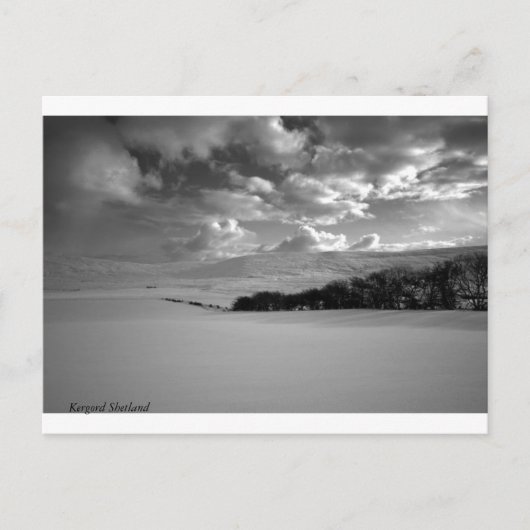 Kergordシェトランド諸島 ポストカード (正面)