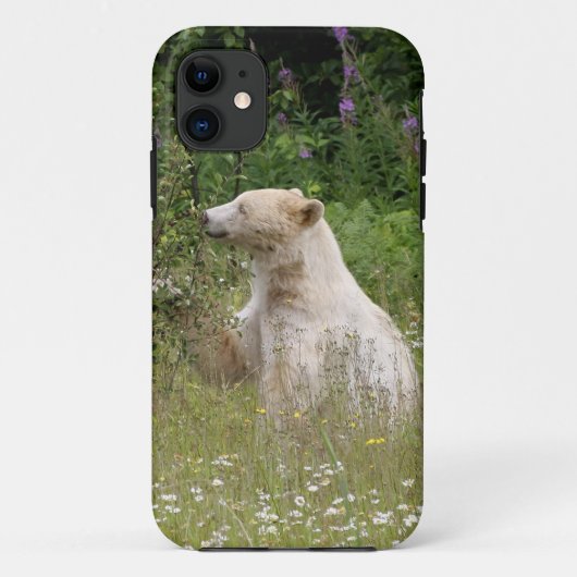 Kermode Spirit Bear Wildlife iPhone カバー (裏面)