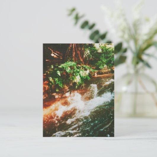 Kerosene Creek,ロトルア,ニュージーランド ポストカード (スタンド正面)