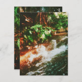 Kerosene Creek,ロトルア,ニュージーランド ポストカード (正面/裏面)