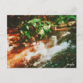 Kerosene Creek,ロトルア,ニュージーランド ポストカード (裏面)