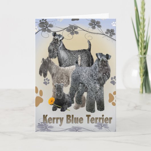 Kerry Blue Terrierカード カード (正面)