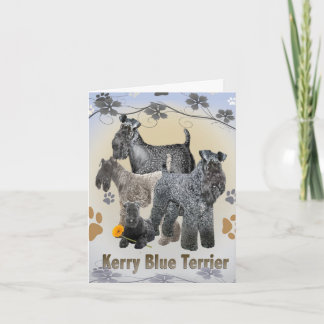 Kerry Blue Terrierグリーティングカード カード