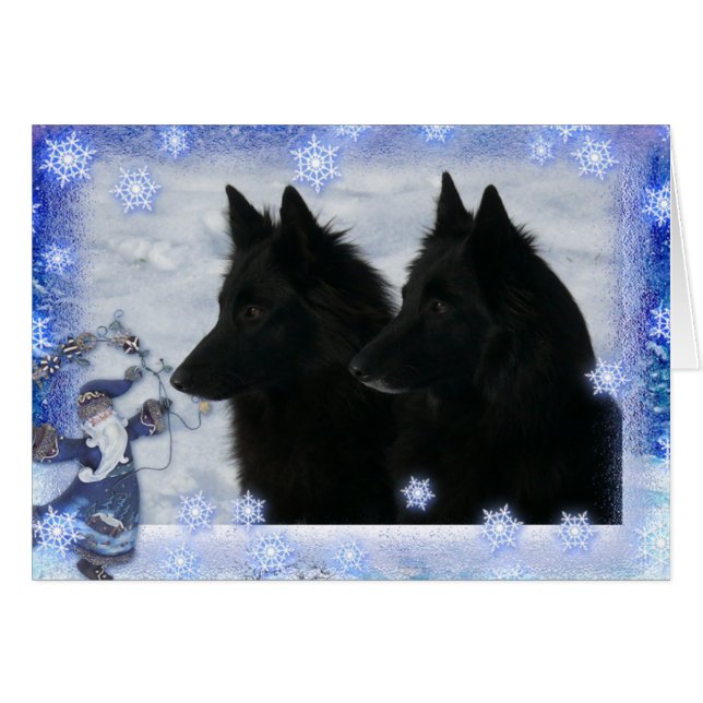 Kerstkaart 2 Groenendaelers (正面横)