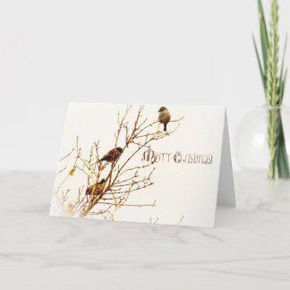 Kerstkaart - Christmas Card - Merry Christmas! シーズンカード