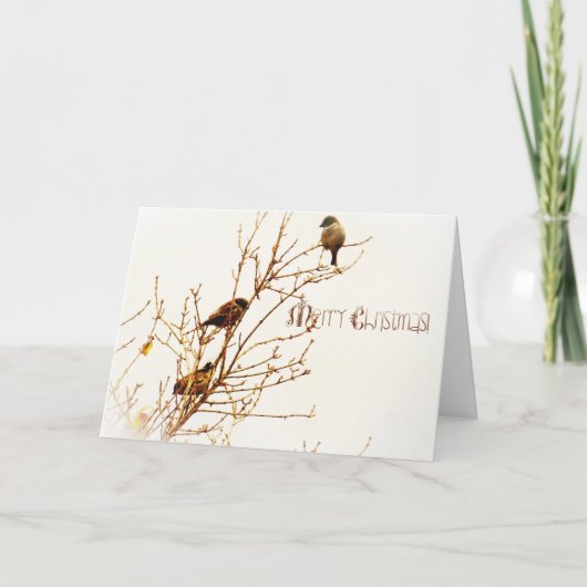 Kerstkaart - Christmas Card - Merry Christmas! シーズンカード (正面)