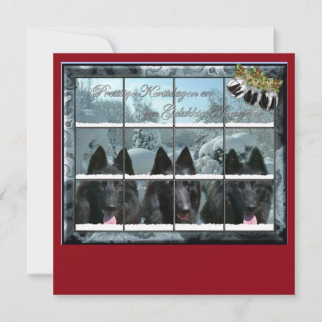 Kerstkaart de 3 groenendaelers (正面)