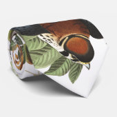 Kestralの鳥の猛禽のAudubonの野性生物のタイ ネクタイ (ロール)