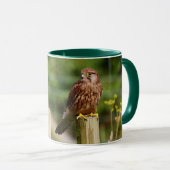 Kestrel マグカップ (正面右)