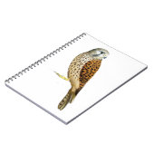 Kestrel 2011年 ノートブック (左側)