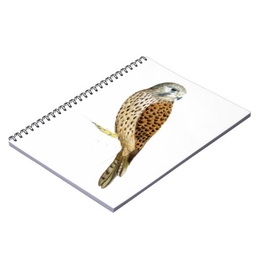 Kestrel 2011年 ノートブック (左側)