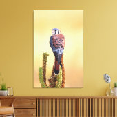 Kestrel、Falco sparverius、米国およびカナダへの先住民 キャンバスプリント (インサイチュ (リビング))