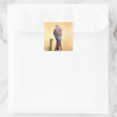 Kestrel、Falco sparverius、米国およびカナダへの先住民 スクエアシール (バッグ)