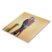 Kestrel、Falco sparverius、米国およびカナダへの先住民 タイル (側面)