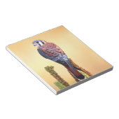 Kestrel、Falco sparverius、米国およびカナダへの先住民 ノートパッド (アングル)