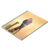 Kestrel、Falco sparverius、米国およびカナダへの先住民 ノートブック (左側)