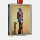 Kestrel、Falco sparverius、米国およびカナダへの先住民 メタルオーナメント (右)