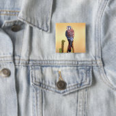 Kestrel、Falco sparverius、米国およびカナダへの先住民 缶バッジ (インサイチュ)