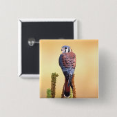 Kestrel、Falco sparverius、米国およびカナダへの先住民 缶バッジ (正面&裏面)