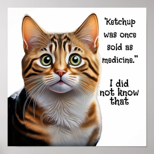 Ketchup sold as medicine  ポスター (正面)