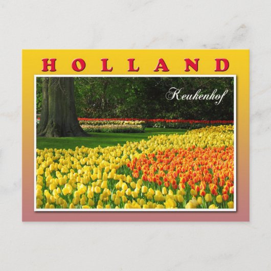 Keukenhof, Lisse,オランダ ポストカード (正面)