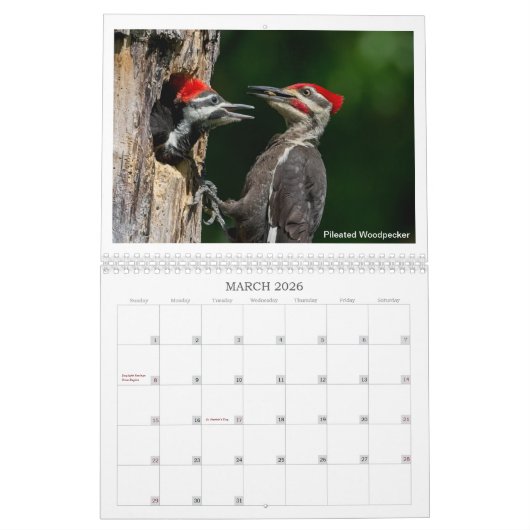 Kevin Harrisによる2024年ワイルドライフカレンダー カレンダー (3月 2026)