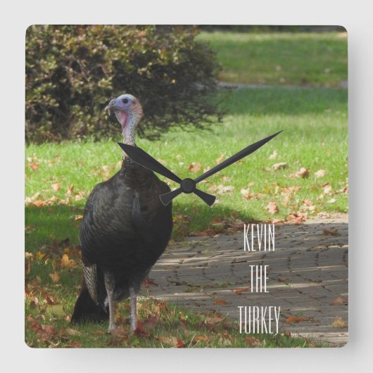 Kevin The Terko - Old Wethersfield, CT スクエア壁時計 (正面)