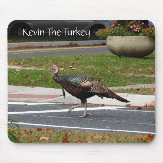 Kevin The Turkey – 旧ウェストフィールド、CT マウスパッド (正面)