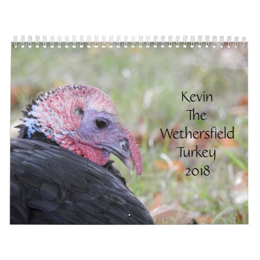 Kevin The Turkey - Old Wethersfield, CT カレンダー (カバー)