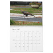 Kevin The Turkey - Old Wethersfield, CT カレンダー (3月 2027)