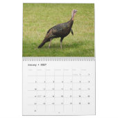 Kevin The Turkey - Old Wethersfield, CT カレンダー (1月 2027)