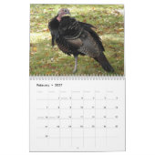 Kevin The Turkey - Old Wethersfield, CT カレンダー (2月 2027)