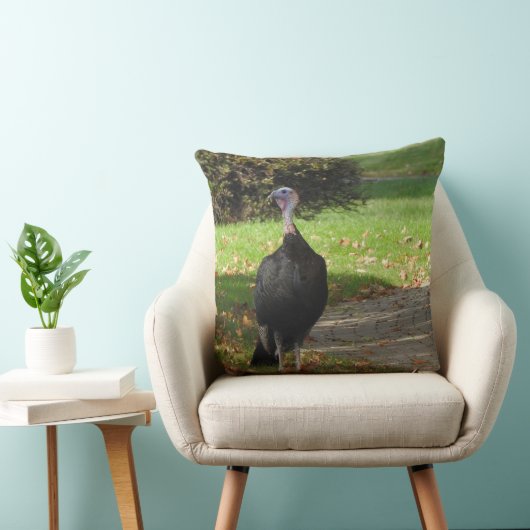 Kevin The Turkey - Old Wethersfield, CT クッション (椅子)