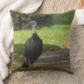 Kevin The Turkey - Old Wethersfield, CT クッション (ブランケット)