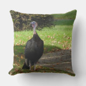 Kevin The Turkey - Old Wethersfield, CT クッション (正面)