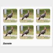 Kevin The Turkey - Old Wethersfield, CT スクエアシール (シート)