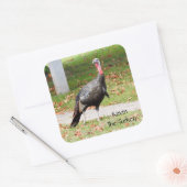 Kevin The Turkey - Old Wethersfield, CT スクエアシール (封筒)
