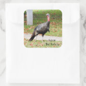 Kevin The Turkey - Old Wethersfield, CT スクエアシール (バッグ)