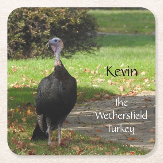 Kevin The Turkey - Old Wethersfield, CT スクエアペーパーコースター (正面)