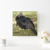 Kevin The Turkey - Old Wethersfield, CT スクエア壁時計 (ホーム)