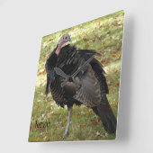 Kevin The Turkey - Old Wethersfield, CT スクエア壁時計 (傾斜)