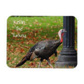 Kevin The Turkey - Old Wethersfield, CT マグネット (横)