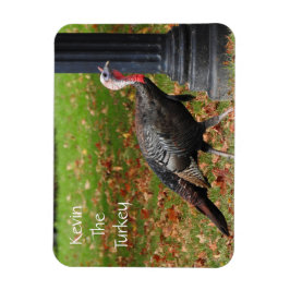 Kevin The Turkey - Old Wethersfield, CT マグネット