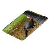 Kevin The Turkey - Old Wethersfield, CT マグネット (左側)