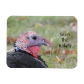 Kevin The Turkey - Old Wethersfield, CT マグネット (横)