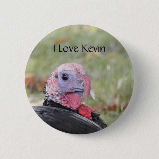 Kevin The Turkey - Old Wethersfield, CT 缶バッジ (正面)