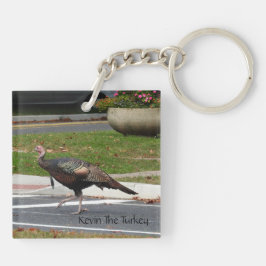 Kevin The Turkey - Old Wethersfield, CT (2写真) キーホルダー