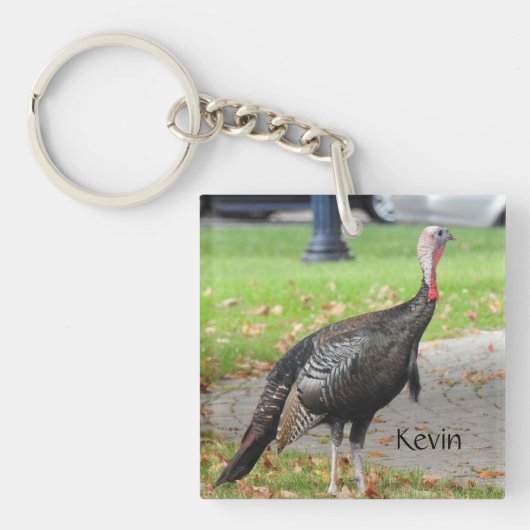 Kevin The Turkey - Old Wethersfield, CT (2写真) キーホルダー (正面)